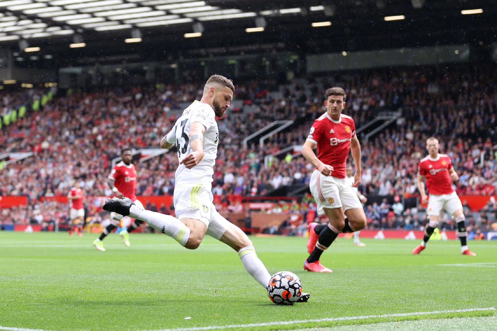 培养年轻人 培养年轻人